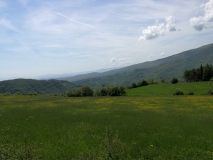 IMG_20220515_112248